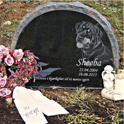 Gravstenar till hund